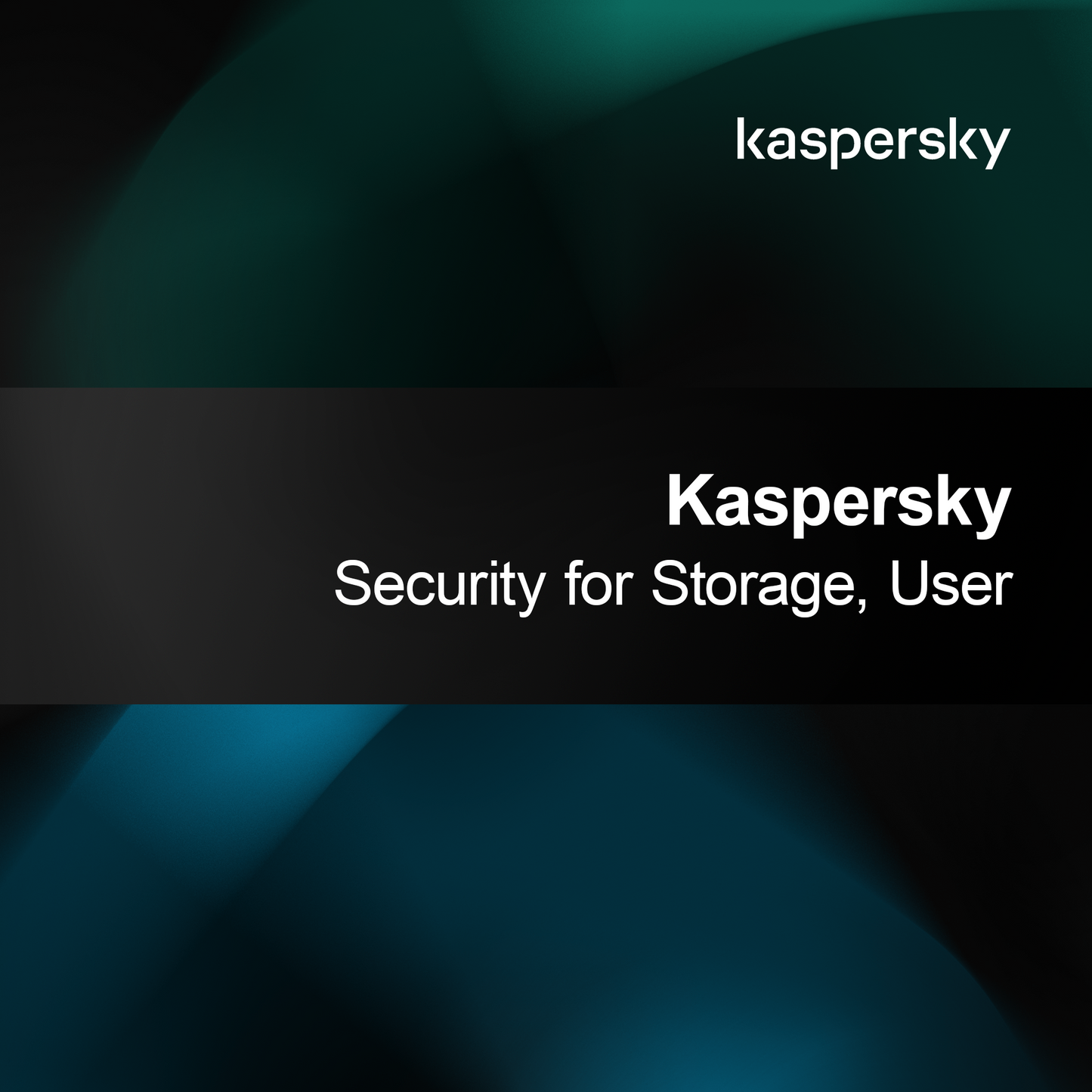 Kaspersky Security para Armazenamento, Usuário