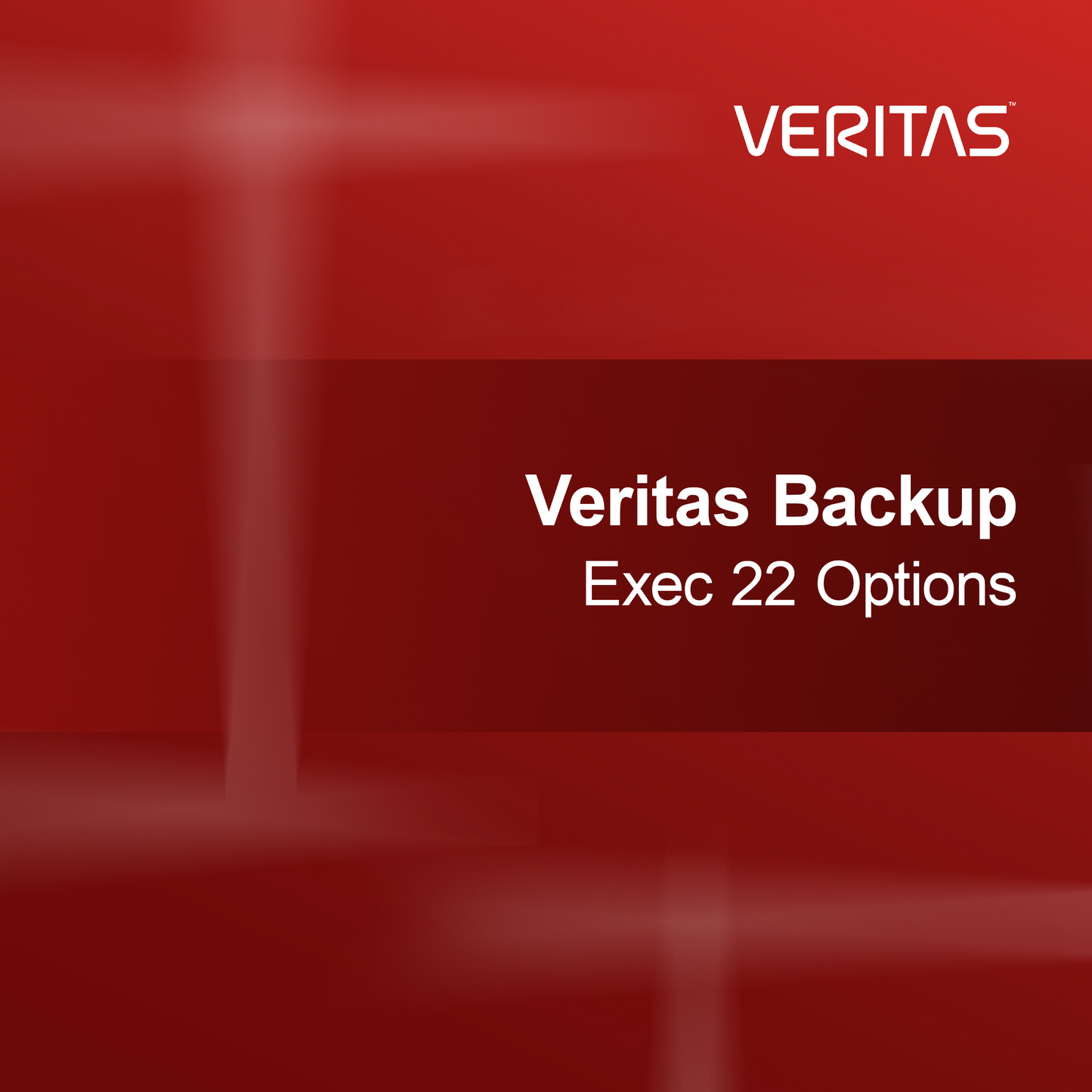 Opções do Veritas Backup Exec 22