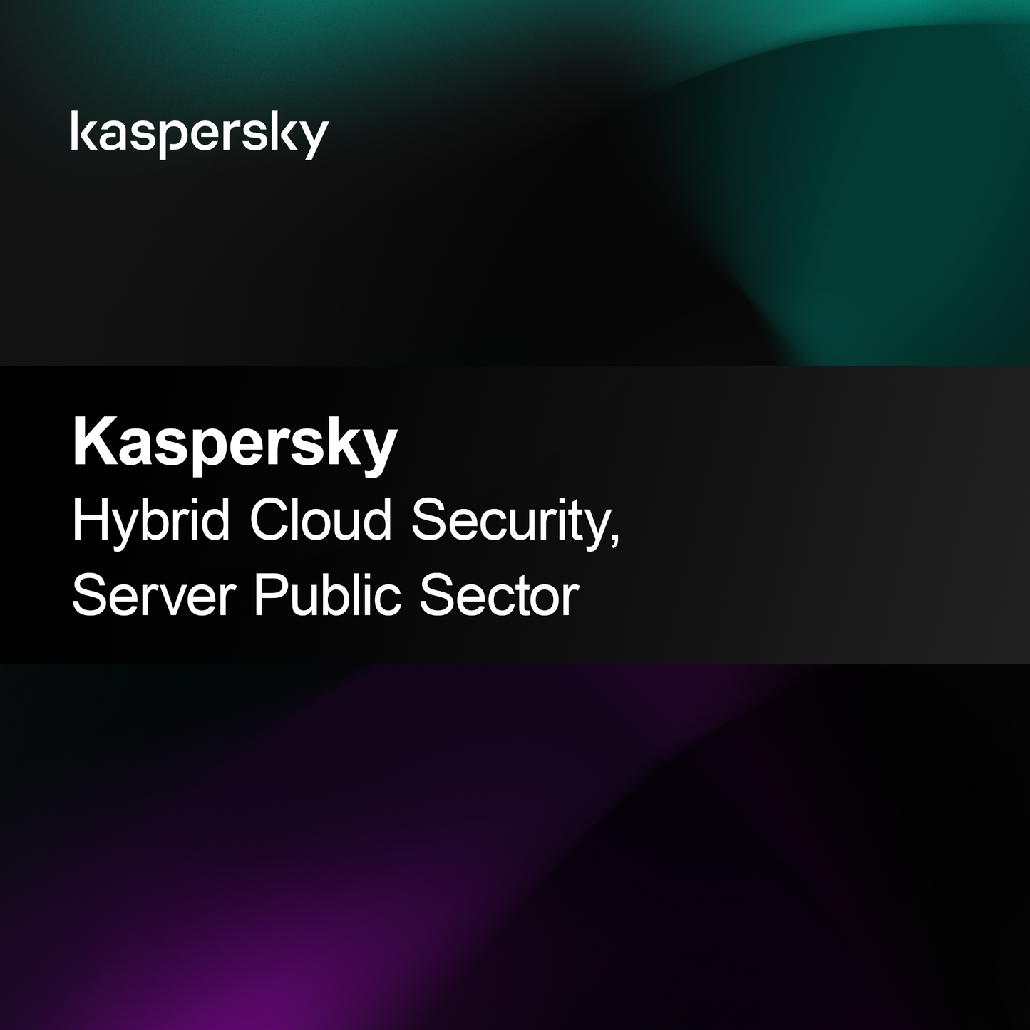 Kaspersky Hybrid Cloud Security, Servidor Setor Público